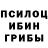 Галлюциногенные грибы прущие грибы Ocrony
