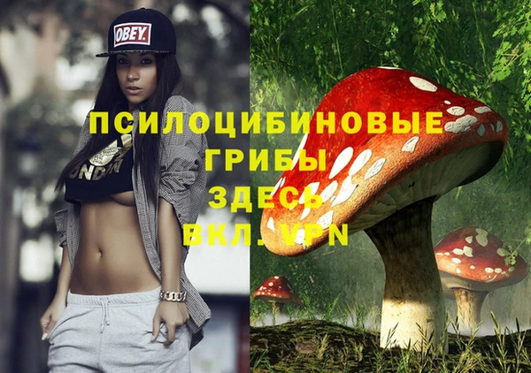 a pvp Вяземский