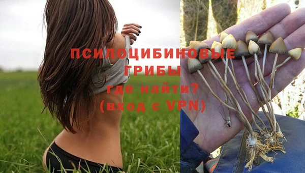 a pvp Вяземский