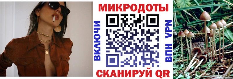 Галлюциногенные грибы Psilocybine cubensis  где продают   Снежинск 