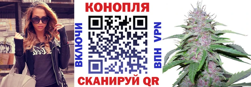 где купить наркоту  Снежинск  hydra зеркало  Марихуана тримм 